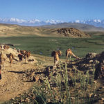 1967 JBourgeois Afghanistan nomades caravane