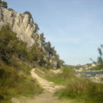 Collias