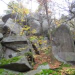 IMG_20061030_0009