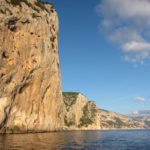 Sarda18